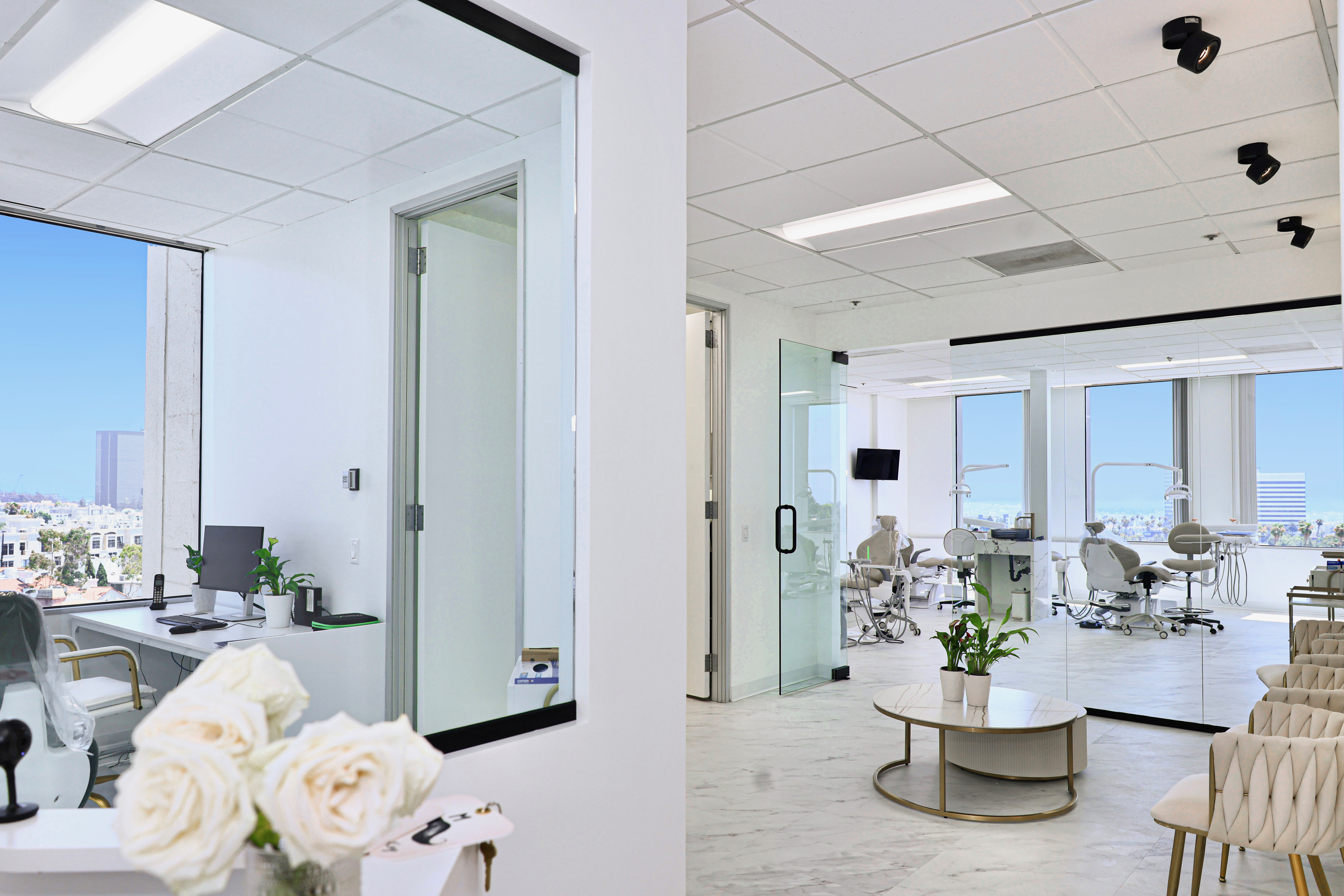 Luxe Dental Family Office
